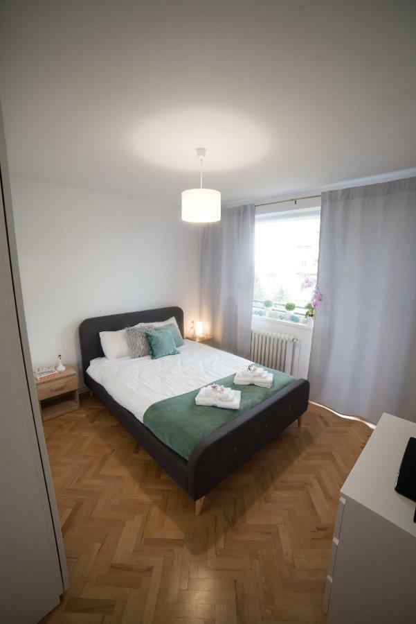 Apartment Alexandra City Cluj-Napoca