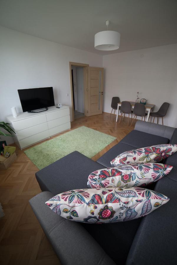 Apartment Alexandra City Cluj-Napoca